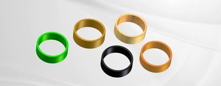 Picture for category Wearings and Guiding - Phớt Dẫn Hướng