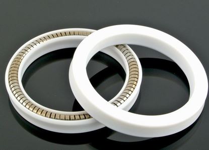 Picture of Spring Energized Seals - Phớt Lò Xo Hiệu Suất Cao
