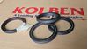 Picture of Spring Energized Seals - Phớt Lò Xo Hiệu Suất Cao