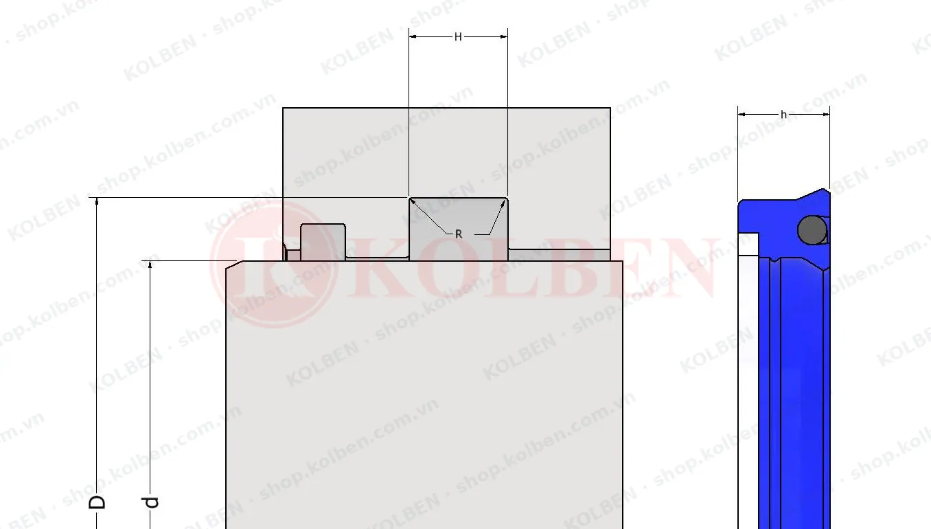 Bản vẽ rãnh lắp phớt ty K628 theo catalog: d, D, H, h
