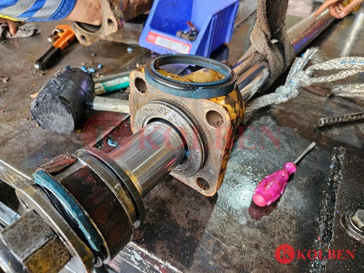 Tiếp nhận, tháo kiểm tra